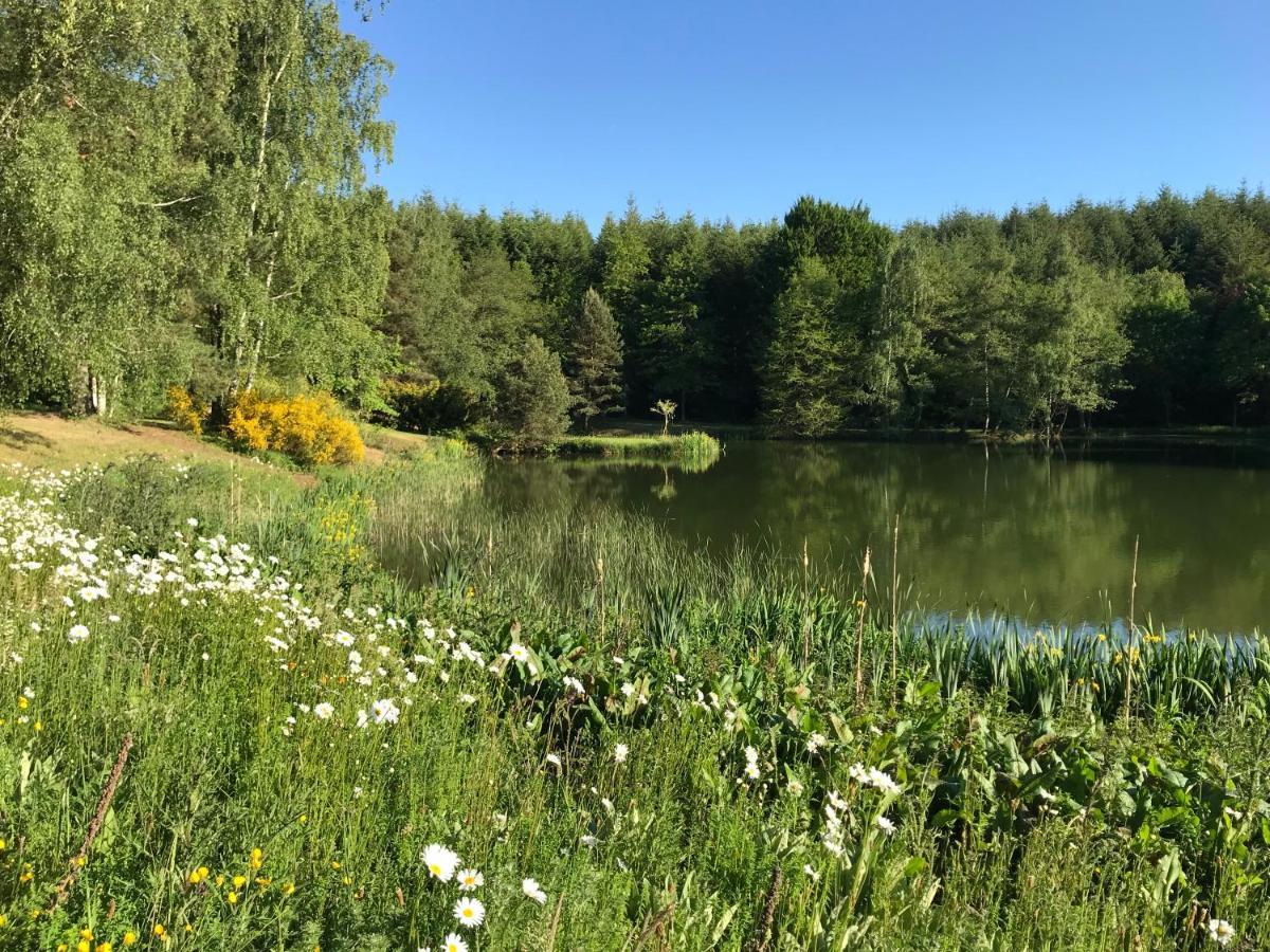 Morvan La Pastourelle Quarré-les-Tombes Exterior foto