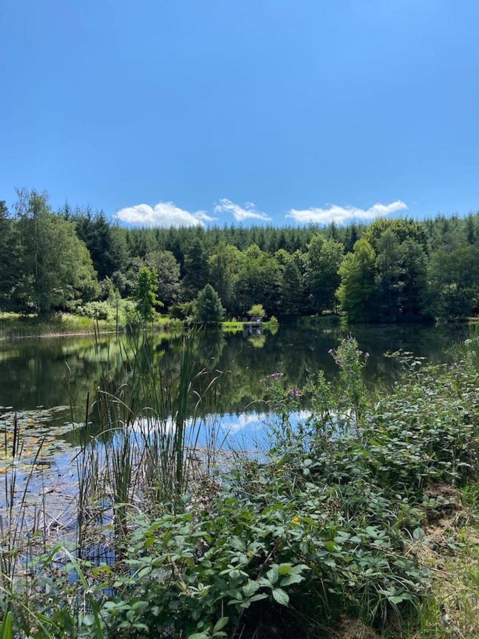 Morvan La Pastourelle Quarré-les-Tombes Exterior foto